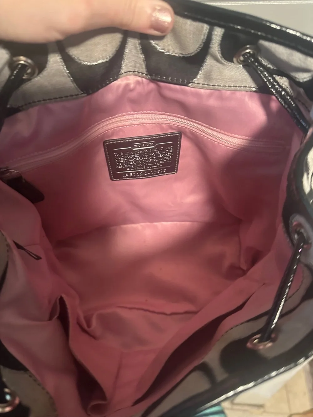Coach Y2K Poppy Sig. Sateen Lurex Outline Flap Drawstring Backpack MSRP: $278
